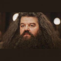Hagrid - I should not have said that meme generator