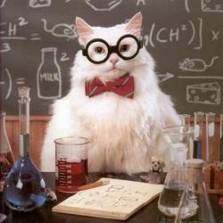 Chemistry Cat meme generator
