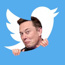 Elon Musk Twitter meme generator