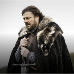 Brace Yourself - Game of Thrones Meme Meme Generator Template