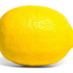 Lemon meme generator