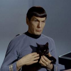 Spock and Cat Meme meme generator