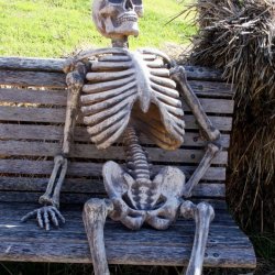 Waiting Skeleton meme generator