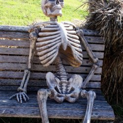 still waiting meme skeleton