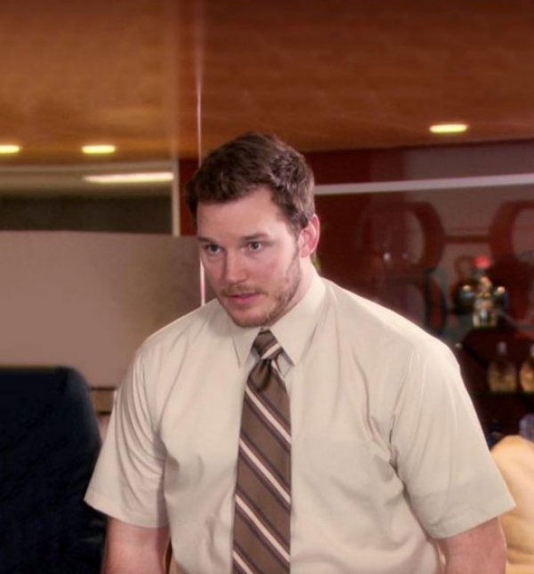 Andy Dwyer - Too Afraid To Ask