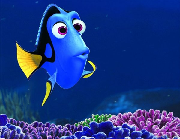 Dory from Nemo  (5 second memory)