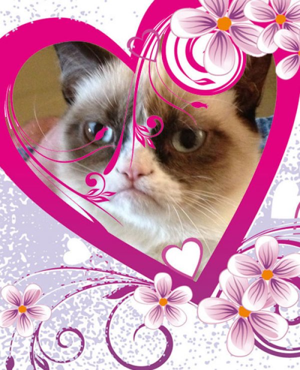 Grumpy cat Valentines Day