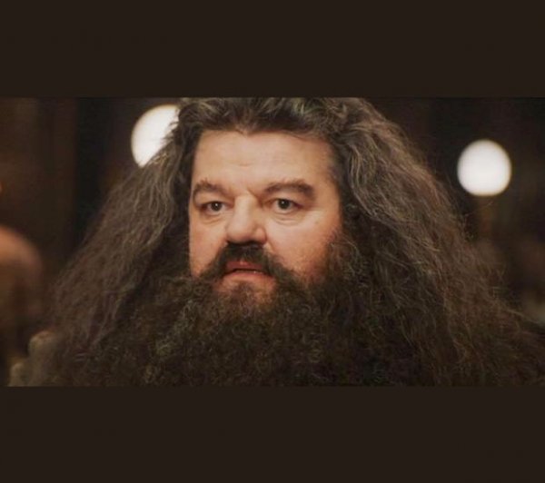 Hagrid - I should not have said that
