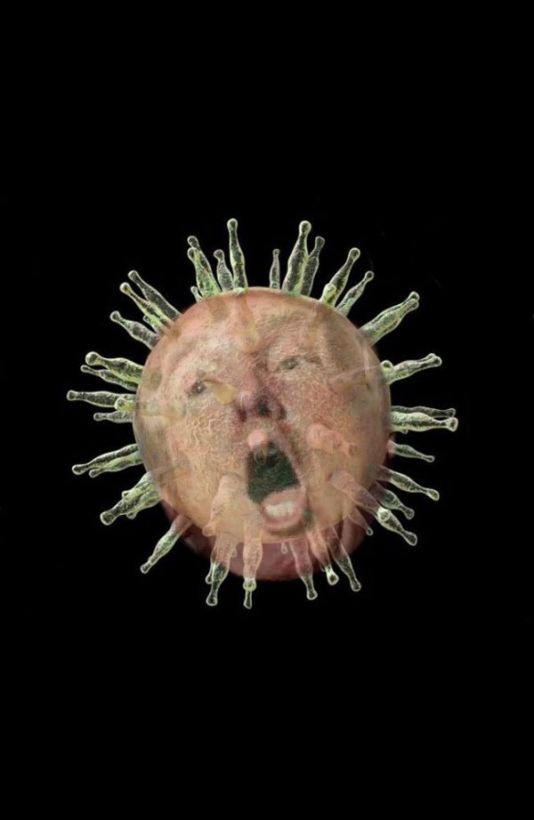 Trumpvirus TrumpPandemic